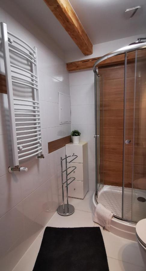 Klimatyczny Apartament Nr 8 Z Widokiem Na Gory Sowie Биелава Екстериор снимка