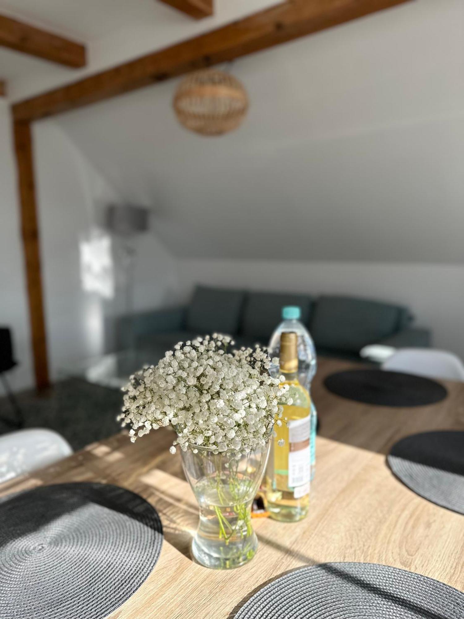 Klimatyczny Apartament Nr 8 Z Widokiem Na Gory Sowie Биелава Екстериор снимка